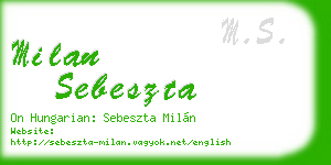 milan sebeszta business card